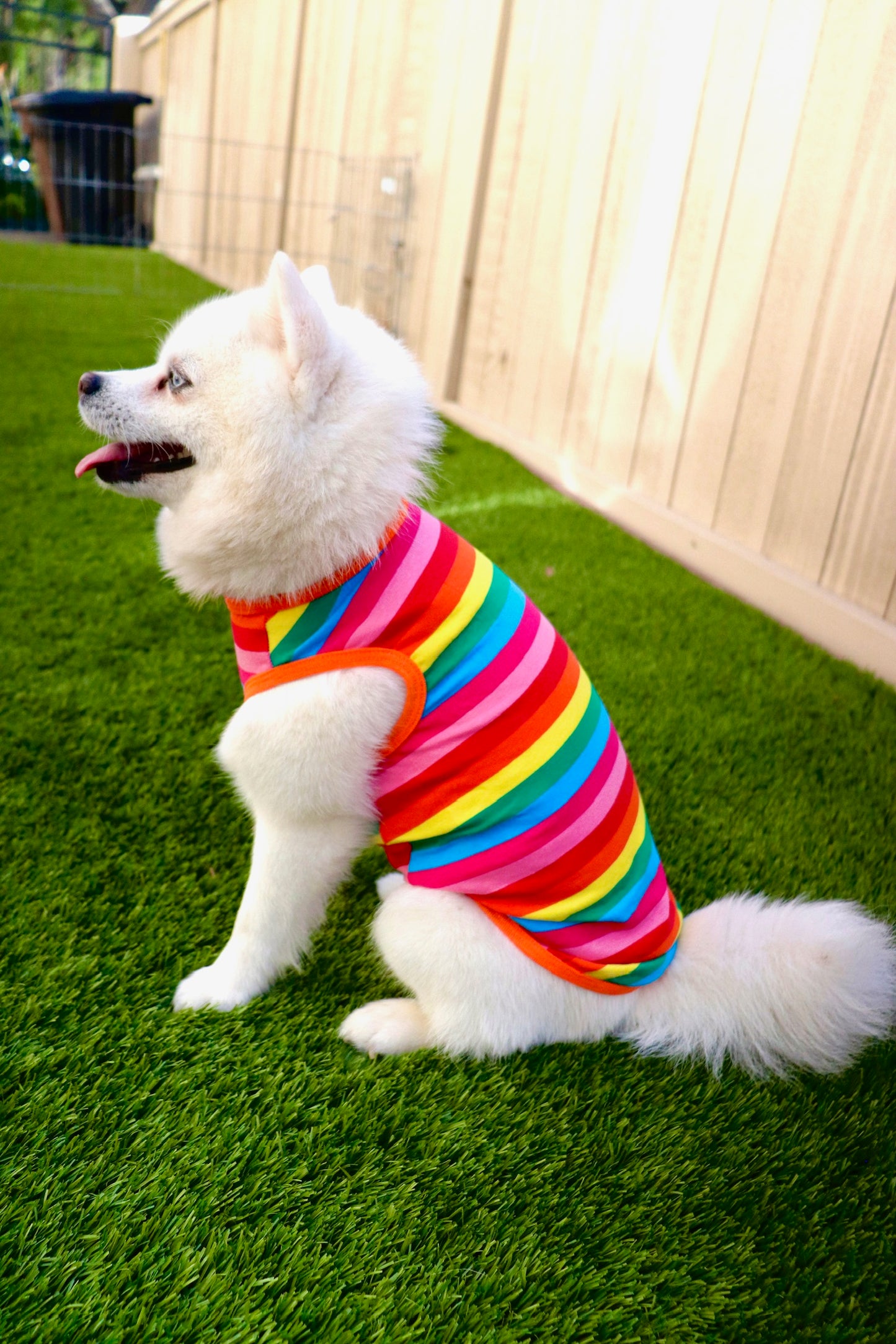 Rainbow Tee