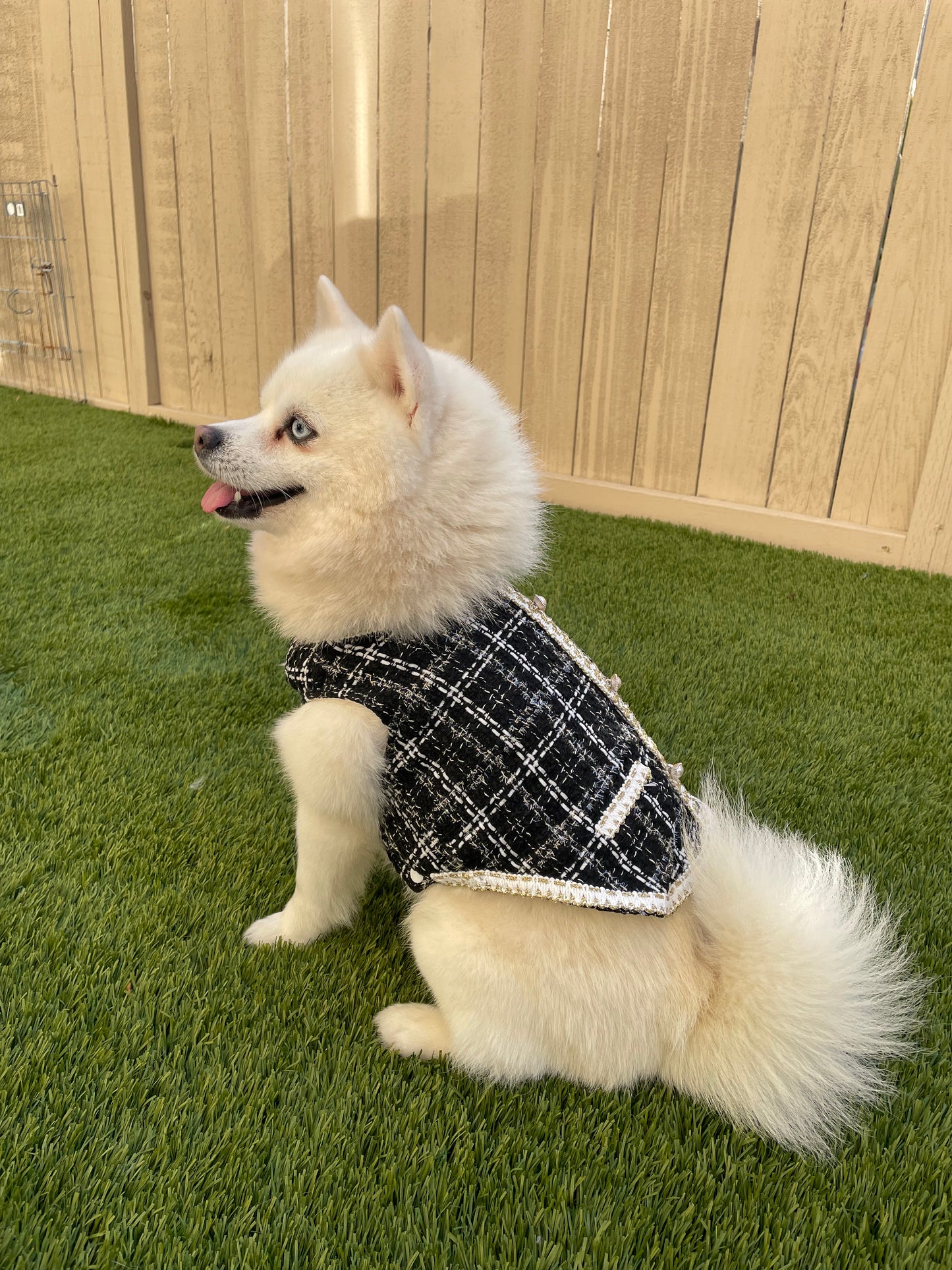 Black and White Tweed Dress