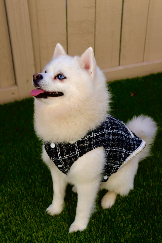 Black and White Tweed Dress