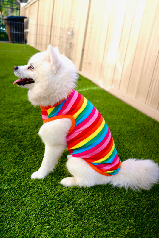 Rainbow Tee