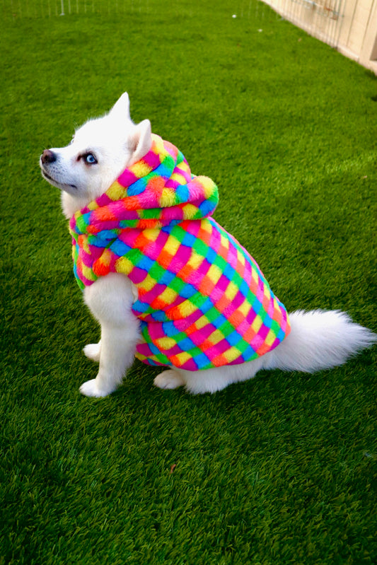 Rainbow Hoodie