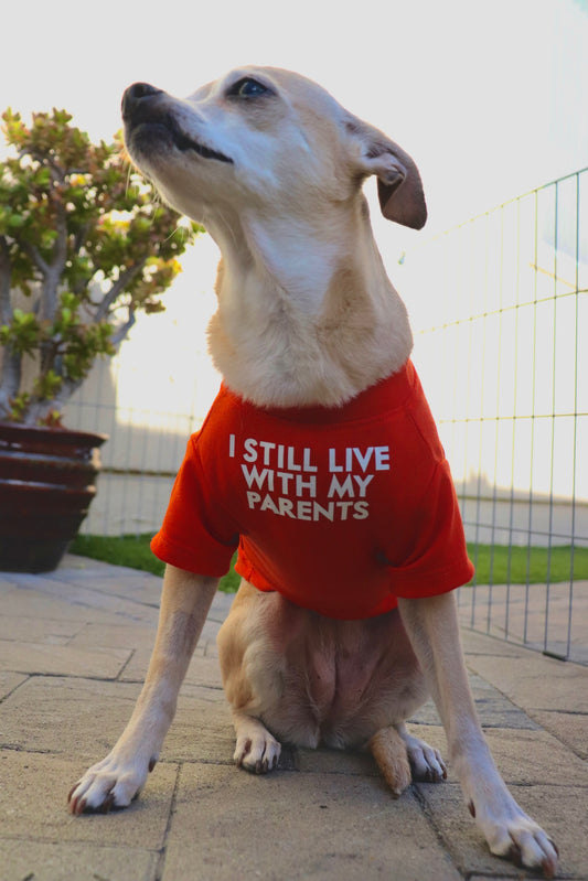 I Still live with my parents Tee