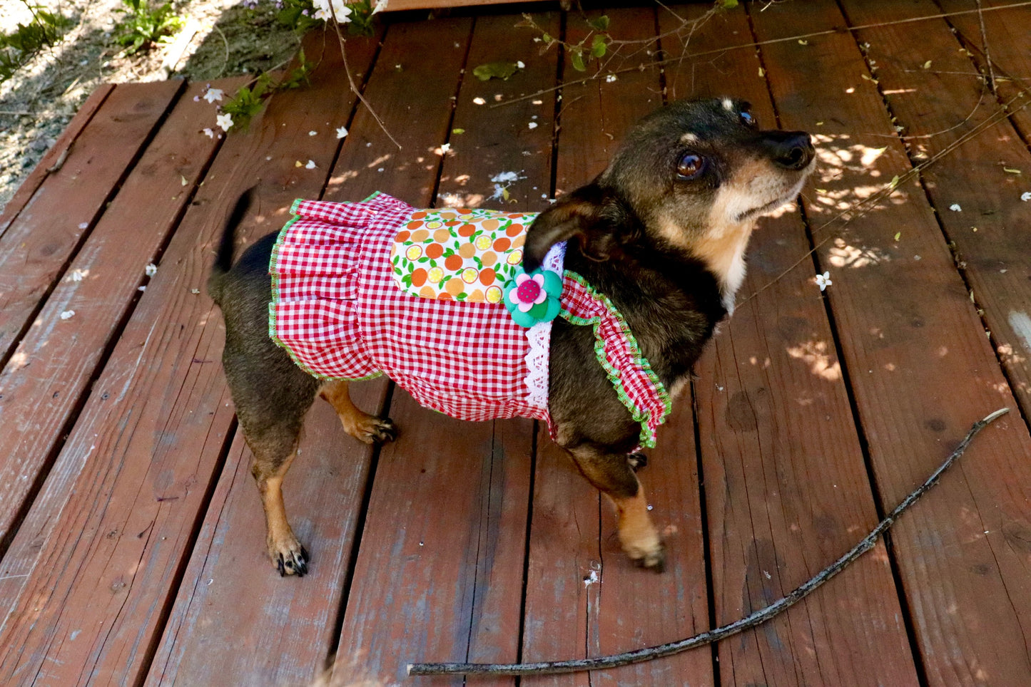 Red Gingham Summer Dress