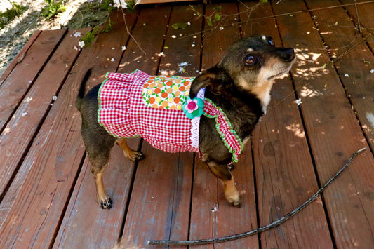 Red Gingham Summer Dress