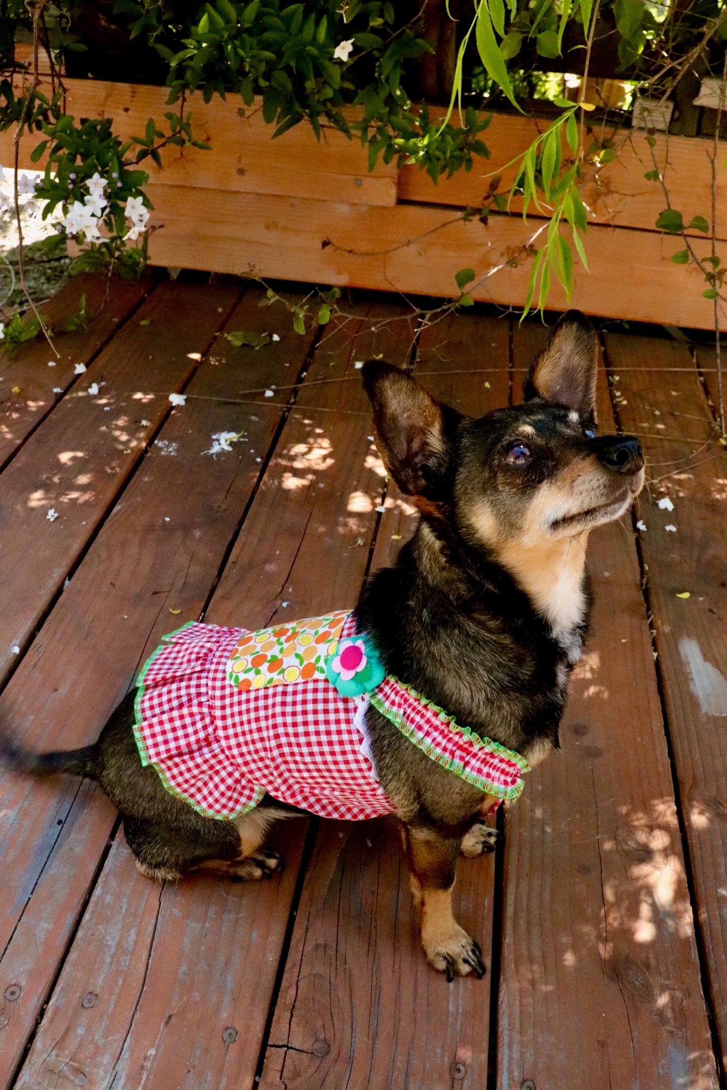 Red Gingham Summer Dress