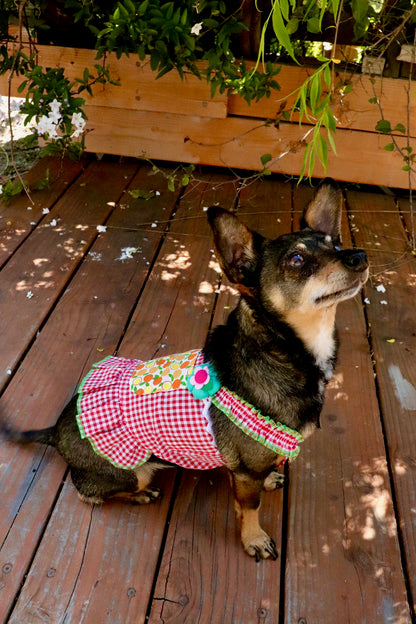 Red Gingham Summer Dress